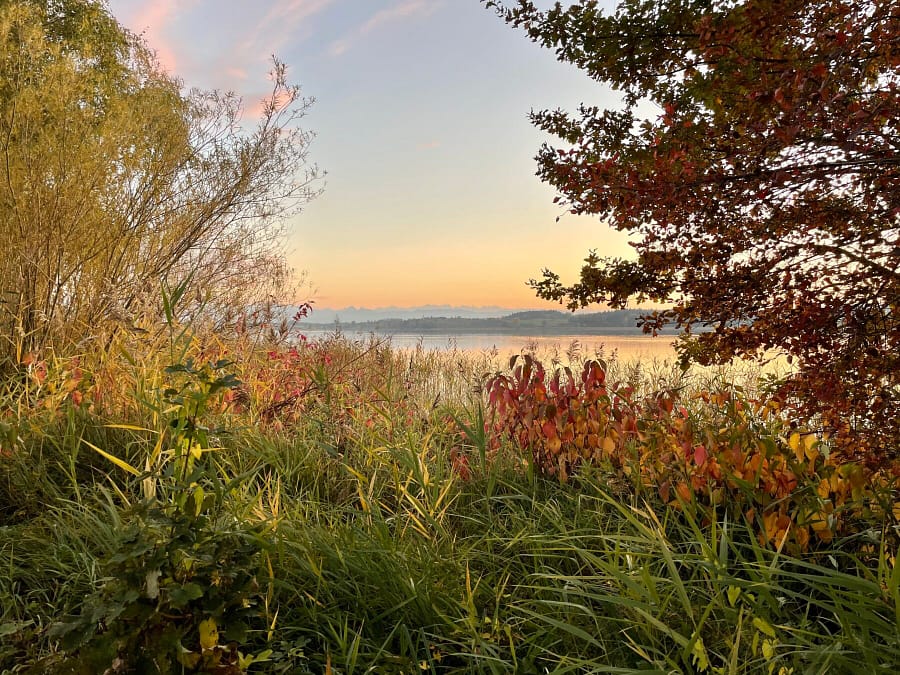 Paeffiker lake in fall